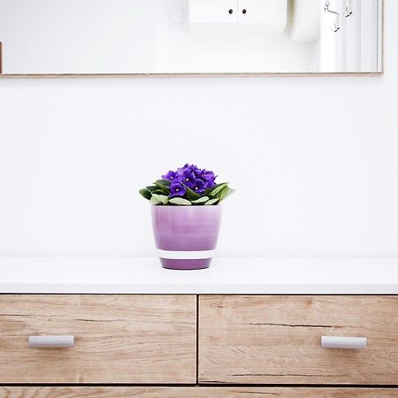 Apartment Anica Τρογκίρ Εξωτερικό φωτογραφία